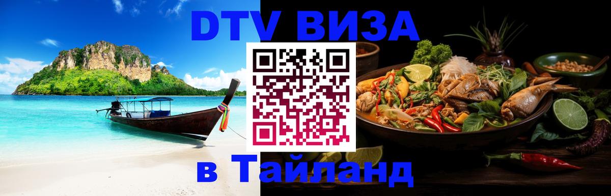 Сколько стоит DTV виза — актуальные цены, оформление даже без документов - Анкара 